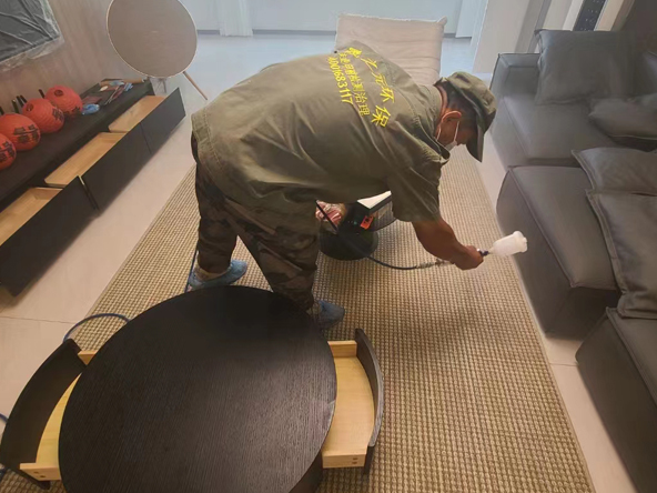 黃島區海上嘉年華負氧離子空氣凈化除甲醛除異味